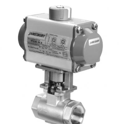 Jamesbury™ Series Eliminator standard port ball valve