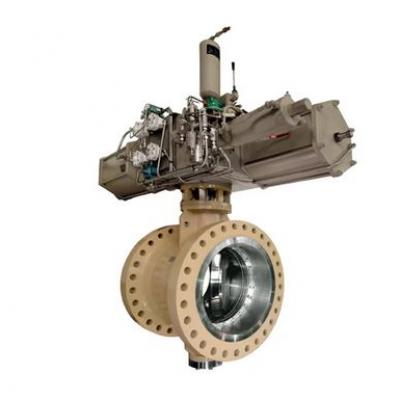 Neles™ butterfly valve, series BW