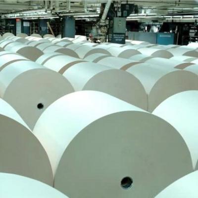 DỰ BÁO THỊ TRƯỜNG GIẤY BAO BÌ SÔI ĐỘNG TRỞ LẠI